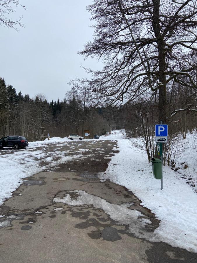Gemuetliche Ferienwohnung Evieline In Todtmoos Zewnętrze zdjęcie